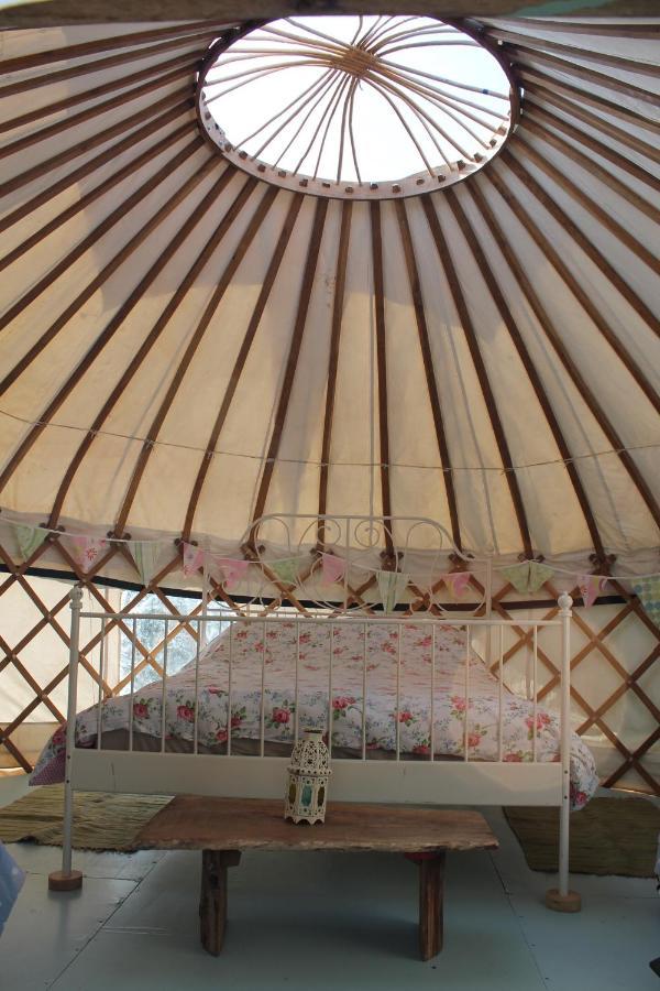 Mill Haven Place Glamping-Yurt 2 Haverfordwest Dış mekan fotoğraf