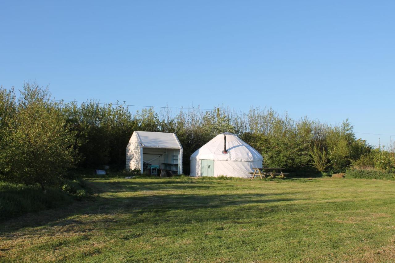 Mill Haven Place Glamping-Yurt 2 Haverfordwest Dış mekan fotoğraf